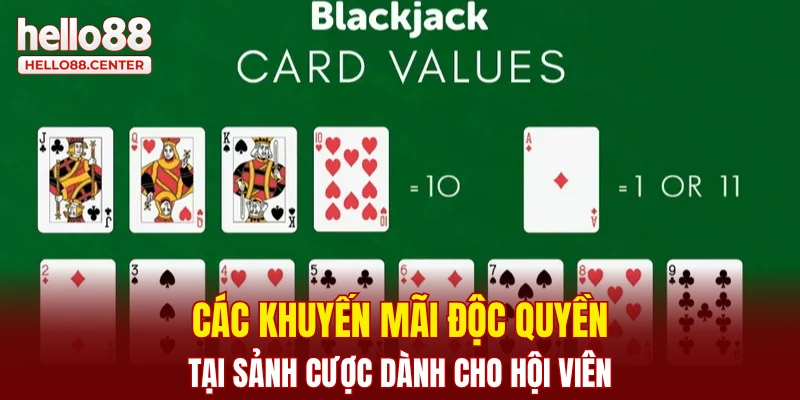 Các khuyến mãi độc quyền tại sảnh cược dành cho hội viên